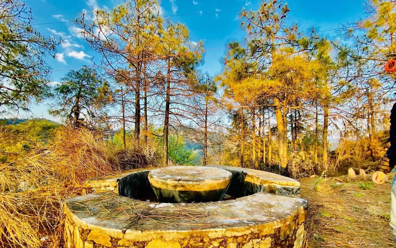 Hotel Tara Regency Shimla India